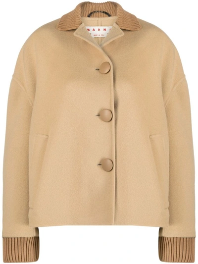 Shop Marni Cropped Jacket In Virgin Wool-cashmere In Brown