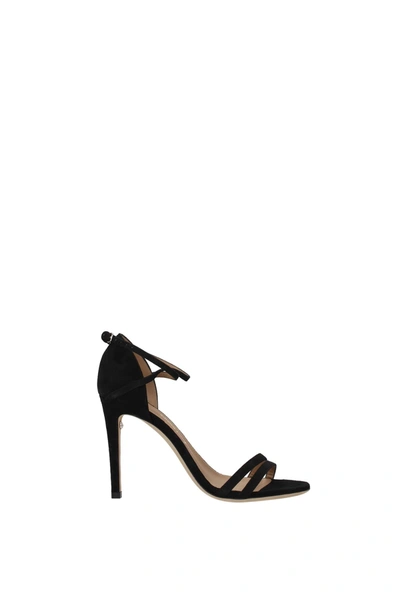 Shop Ferragamo Sandals Ines X5 Suede Black