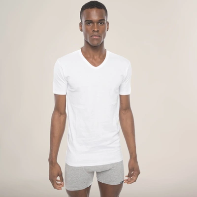 Shop Members Only Men's 3pk Cotton V-neck T-shirt In White