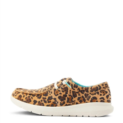 Shop Ariat Women's Hilo Slip-on Shoe In Lively Leopard In Multi