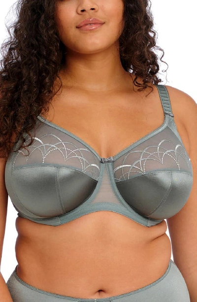 Shop Elomi 'cate' Underwire Bra In Willow