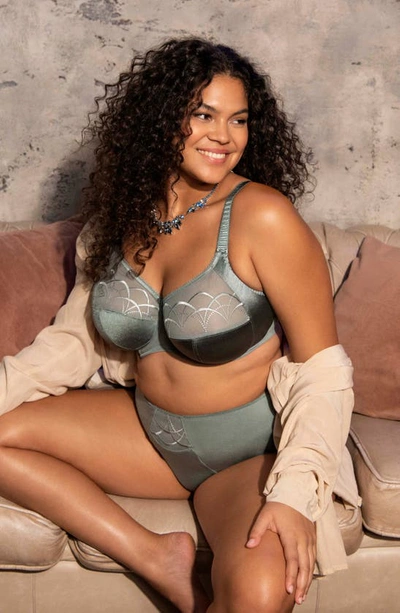 Elomi Cate Side Support Bra In Willow