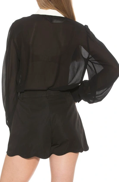 Alexia Admor Serena Long Sleeve Tie Neck Blouse In Black