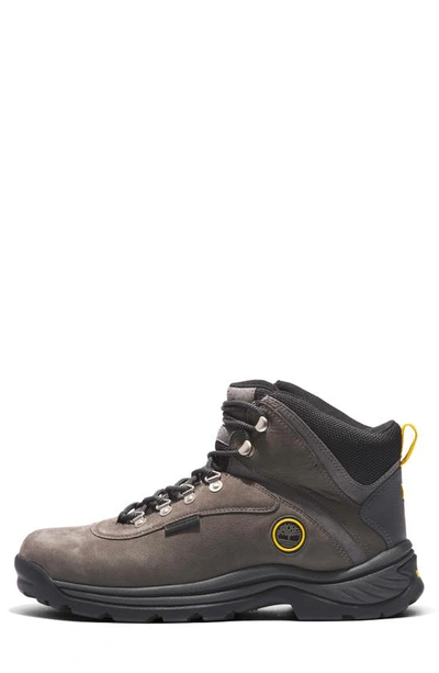 Timberland White Ledge Mid Waterproof Hiking Boot In Castlerock
