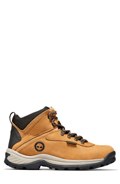 Timberland White Ledge Mid Waterproof Hiking Boot In Wheat