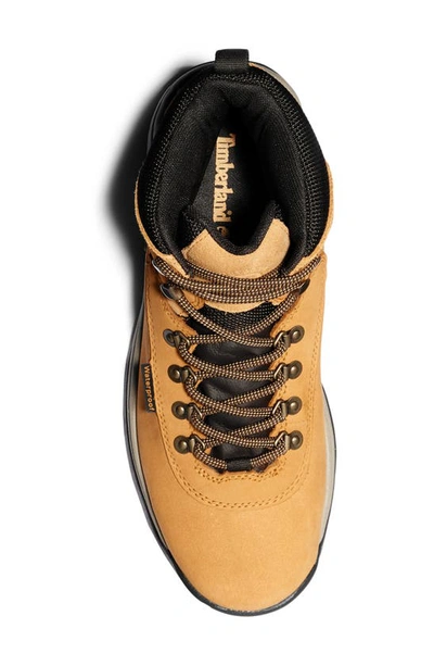 Timberland White Ledge Mid Waterproof Hiking Boot In Wheat