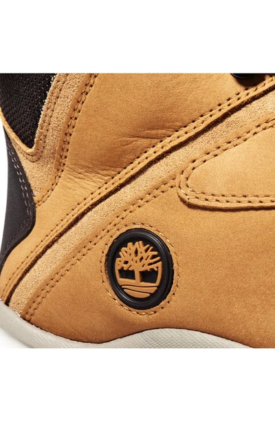 Timberland White Ledge Mid Waterproof Hiking Boot In Wheat