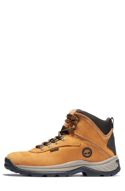 Timberland White Ledge Mid Waterproof Hiking Boot In Wheat