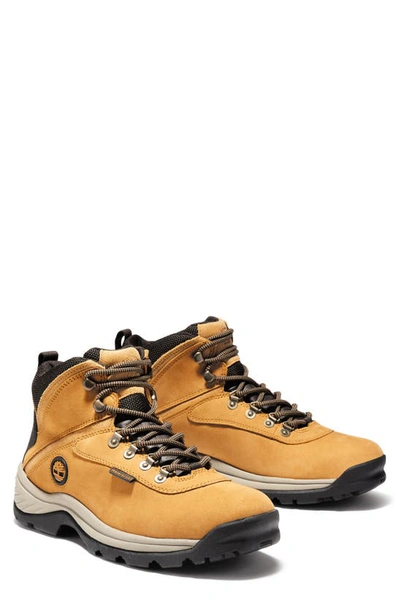 Timberland White Ledge Mid Waterproof Hiking Boot In Wheat
