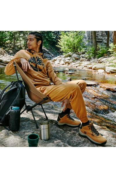 Timberland White Ledge Mid Waterproof Hiking Boot In Wheat