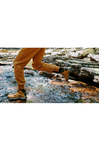 Timberland White Ledge Mid Waterproof Hiking Boot In Wheat
