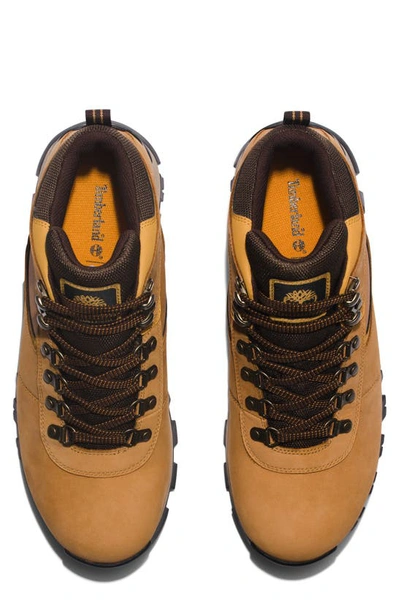 Shop Timberland Keele Ridge Waterproof Leather Hiking Sneaker In Wheat