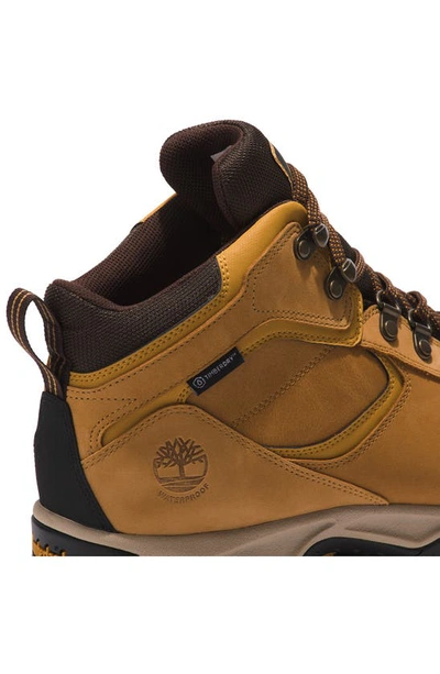 Shop Timberland Keele Ridge Waterproof Leather Hiking Sneaker In Wheat