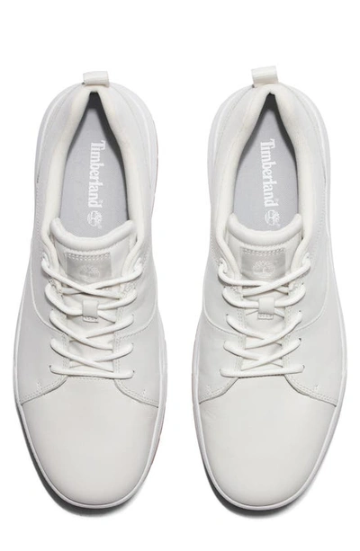 Shop Timberland Maple Grove Low Top Sneaker In Blanc De Blanc