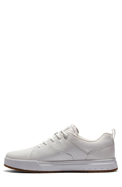 Shop Timberland Maple Grove Low Top Sneaker In Blanc De Blanc