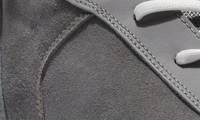 Timberland Seneca Bay High Top Sneaker In Griffin