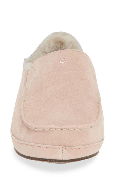 Shop Olukai Nohea Nubuck Slipper In Coral Rose Leather