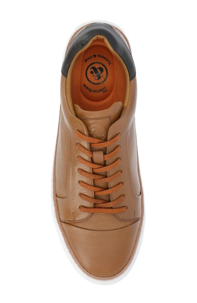 Shop Thomas & Vine Nathan Leather Sneaker In Cognac