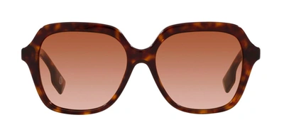 Shop Burberry 0be4389 300213 Butterfly Sunglasses In Brown