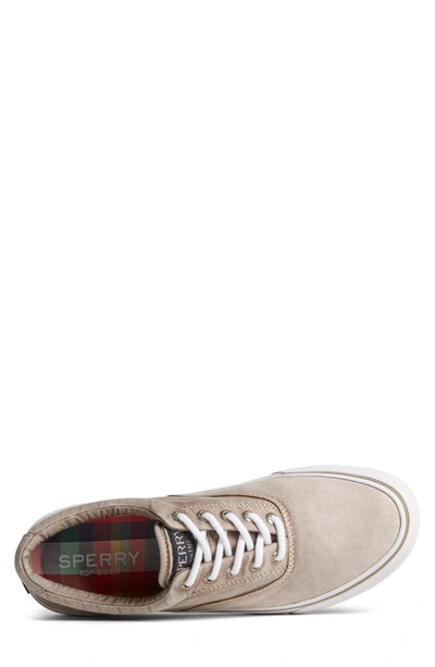 SPERRY TOP-SIDER® SPERRY STRIPER II CVO OMBRÉ SNEAKER 