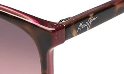 Shop Maui Jim Ocean 57mm Polarizedplus2® Sunglasses In Tortoise/ Raspberry/ Maui Rose
