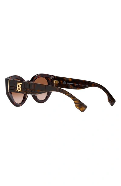 Shop Burberry Briar 47mm Gradient Small Phantos Sunglasses In Dk Havana