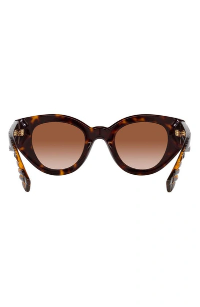 Shop Burberry Briar 47mm Gradient Small Phantos Sunglasses In Dk Havana