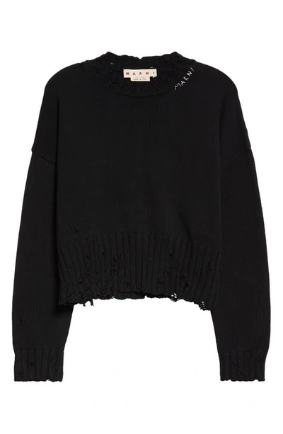 Shop Marni Distressed Crewneck Cotton Sweater In Black