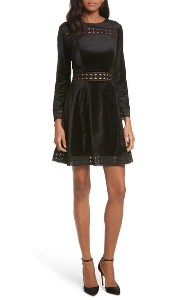 Shop Ted Baker Velvet & Lace Skater Dress In Black