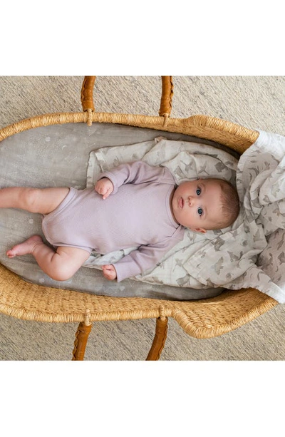Aden + Anais Assorted 2-pack Organic Cotton Muslin Swaddling Cloths In Map The Stars Grey