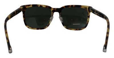 Shop Dolce & Gabbana Havana Green Acetate Tortoise Shell Dg4271 Women's Sunglasses