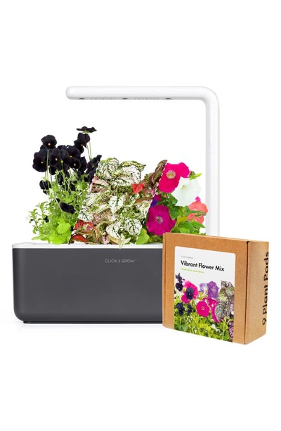 Shop Click & Grow Smart Garden 3 Small Vibrant Flower Kit In Grey