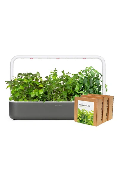 Shop Click & Grow Smart Garden 9 Big Herbal Tea Kit In Grey