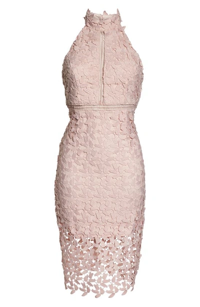 Shop Bardot Gemma Halter Lace Sheath Dress In Rosewater