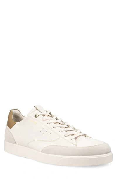 Shop Ecco Street Lite Sneaker In Limestone/ Nutmeg Brown