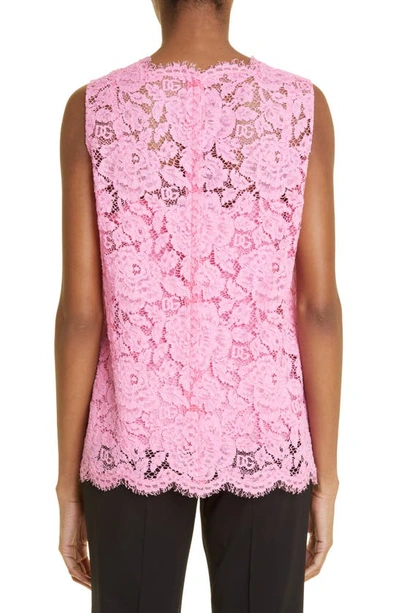 Shop Dolce & Gabbana Branded Stretch Lace Top In Bright Pink