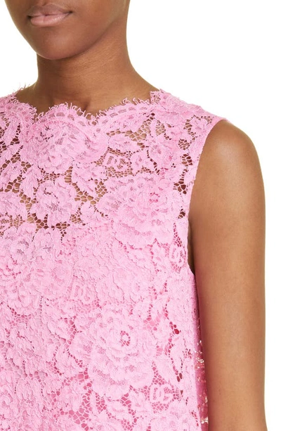 Shop Dolce & Gabbana Branded Stretch Lace Top In Bright Pink