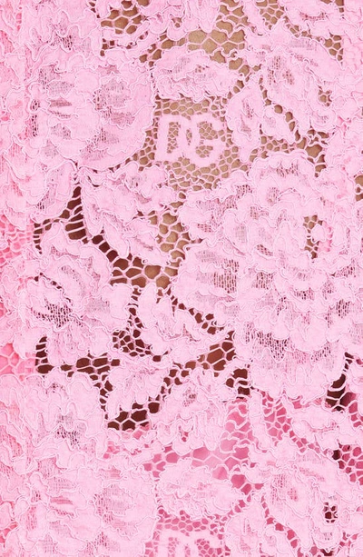 Dolce & Gabbana Sleeveless Lace Top In Bright Pink
