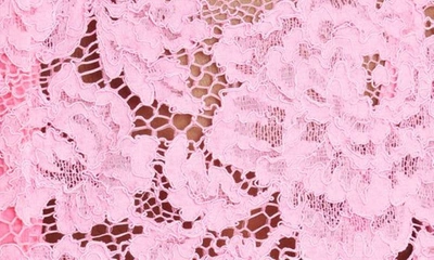 Dolce & Gabbana Sleeveless Lace Top In Bright Pink