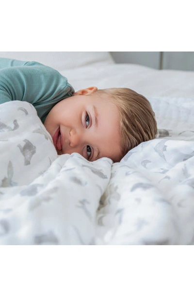 Aden + Anais Dream Organic Cotton Muslin Blanket In Map The Stars Grey