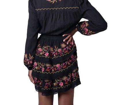 Shop Allison New York Floral Embroidered Mini Skirt In Black
