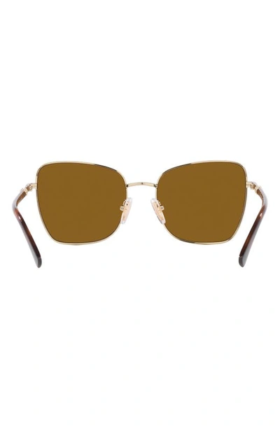 Shop Vogue 56mm Polarized Butterfly Sunglasses In Havana
