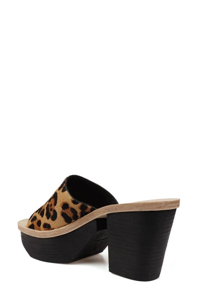 Zigi Artisan Avril Genuine Calf Hair Sandal In Tan Leopard
