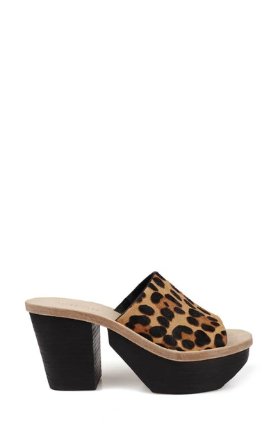 Zigi Artisan Avril Genuine Calf Hair Sandal In Tan Leopard