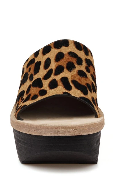 Zigi Artisan Avril Genuine Calf Hair Sandal In Tan Leopard