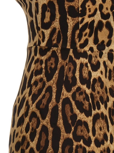 Shop Dolce & Gabbana Animalier Dress Dresses In Multicolor