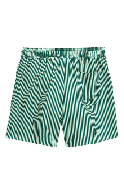 Shop Pacsun Kids' Stripe Swim Trunks In Stripe Green