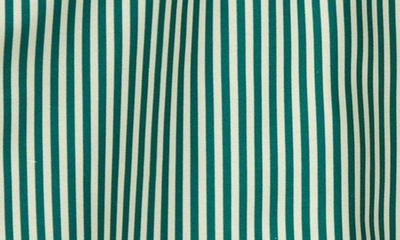 Shop Pacsun Kids' Stripe Swim Trunks In Stripe Green