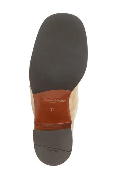Shop Prada Tronchetti Block Heel Knee High Boot In Ecru