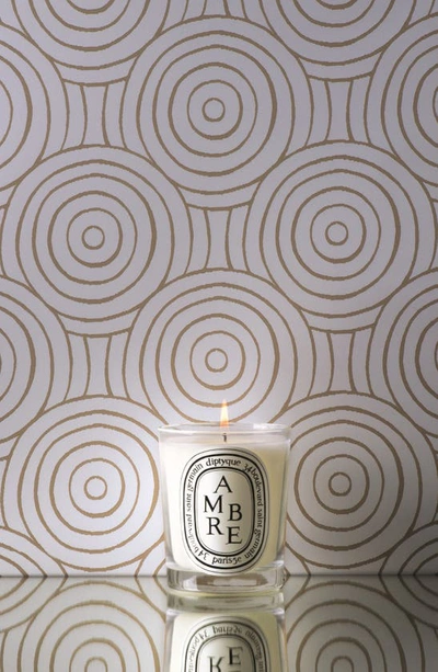Shop Diptyque Ambre (amber) Scented Candle, 6.5 oz